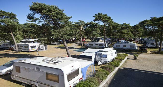 Dueodde Strand Camping Eksteriør bilde